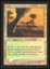 Windswept Heath - HP Foil _11879
