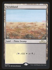 Scrubland - NM _11659