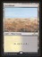 Scrubland - NM _11659