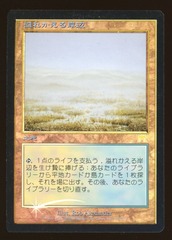 Flooded Strand - MP Foil Japanese _12367