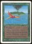Birds of Paradise - DMG _10367