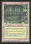 Bayou - MP French _11679