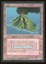 Volcanic Island - MP French _11724
