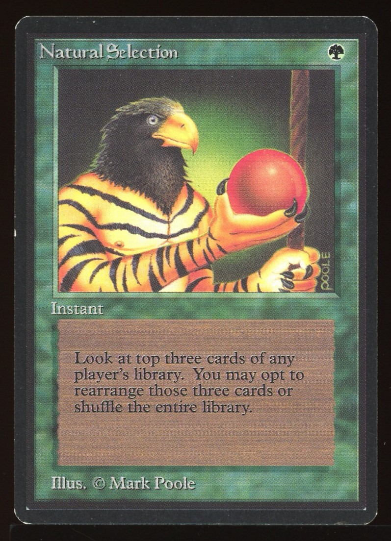 Natural Selection - LP _C1584