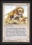 Savannah Lions - NM _11088