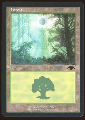 Forest - LP _11751