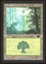 Forest - LP _11751