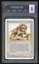 PCG 9 Savannah Lions -643