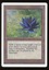 Black Lotus - MP *Roller Line _11329