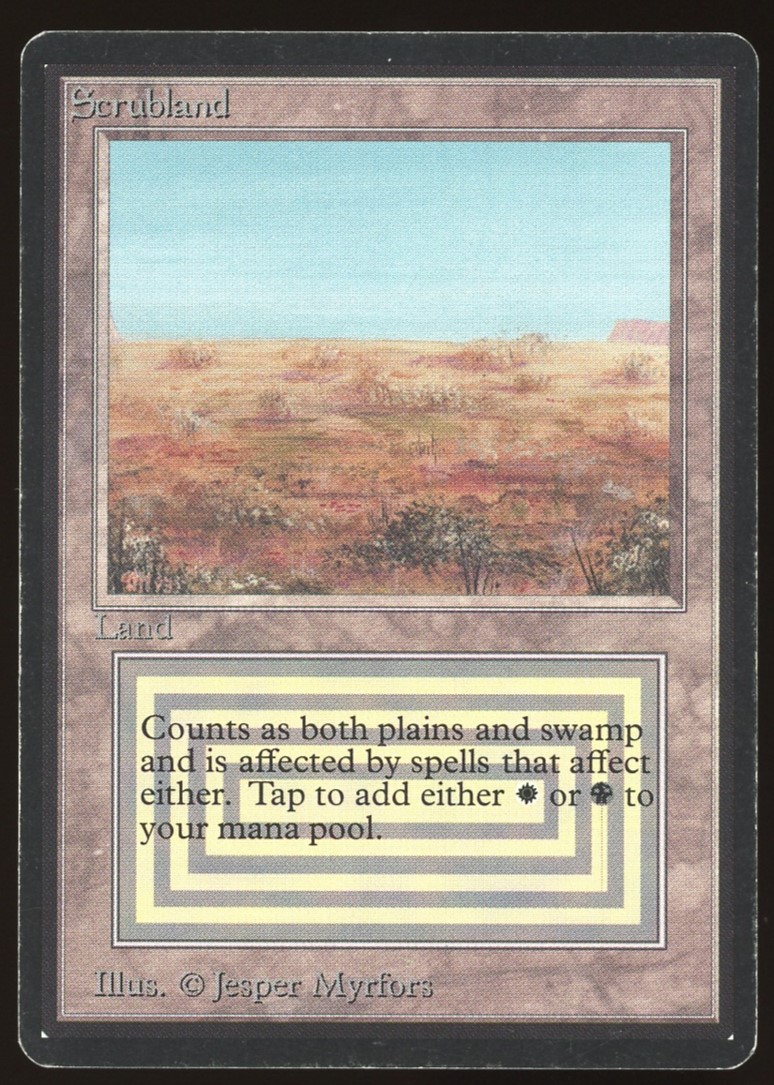 Scrubland - MP _11265