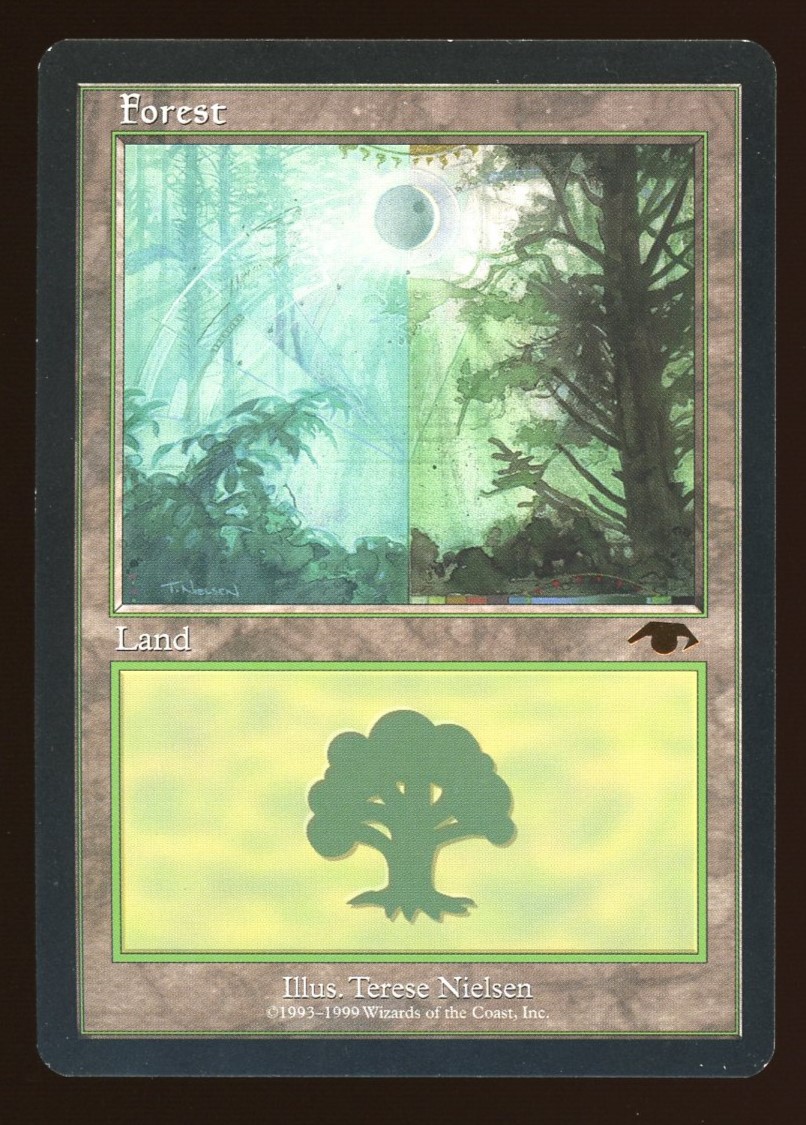 Forest - MP _11736