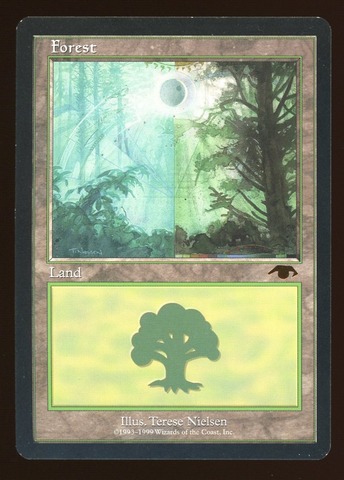Forest - MP _11736