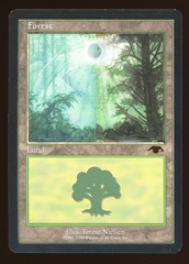 Forest - MP _11736