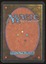 Aspect of Wolf - MP _10997
