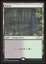 Bayou - NM _9992