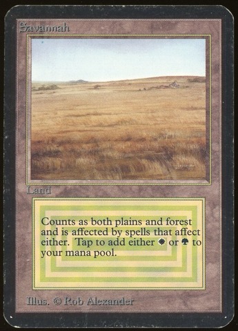 Savannah - DMG _11983
