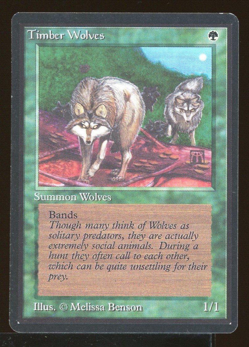 Timber Wolves - NM _12057