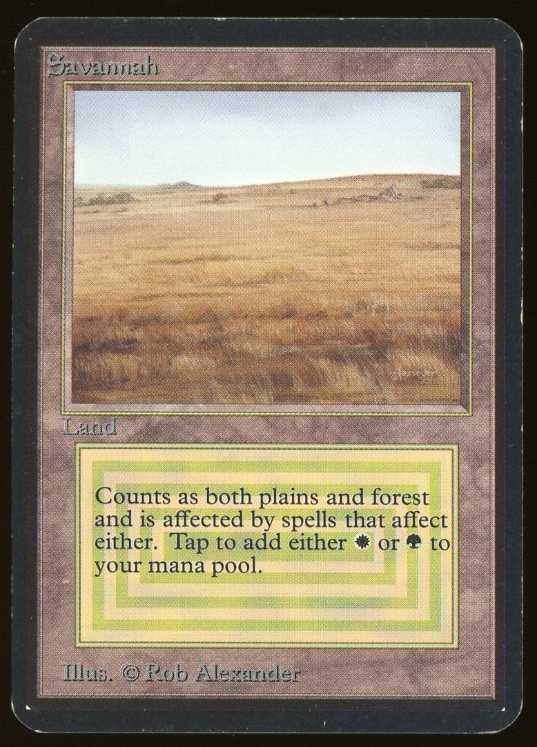 Savannah - MP _11981