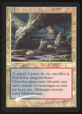 Bloodstained Mire - NM Foil French _9299