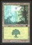 Forest - LP _11753