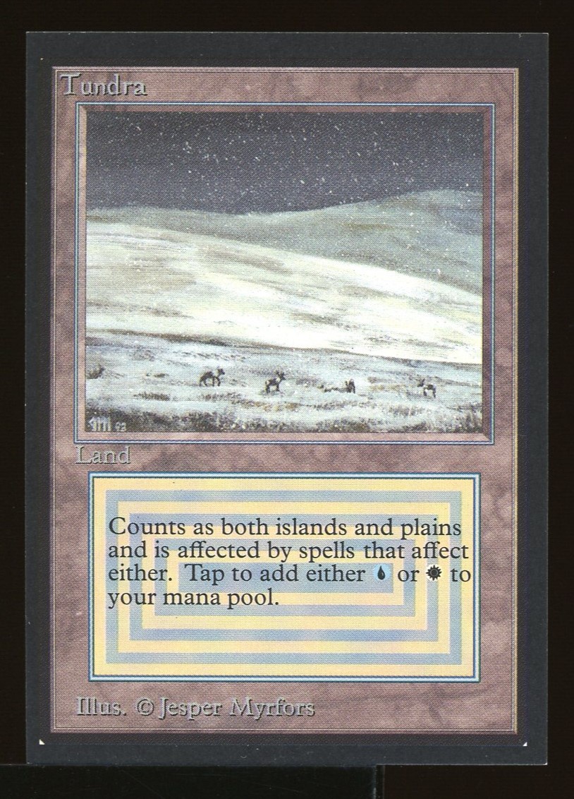 Tundra - NM _11646
