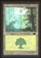 Forest - LP _11750