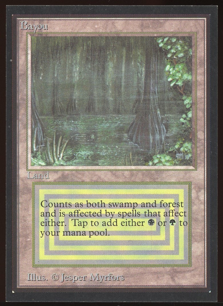 Bayou - NM _9965