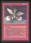 Dragon Whelp - DMG _10969