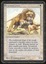 Savannah Lions - HP _8749
