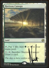 Signed Foil Horizon Canopy _A1384