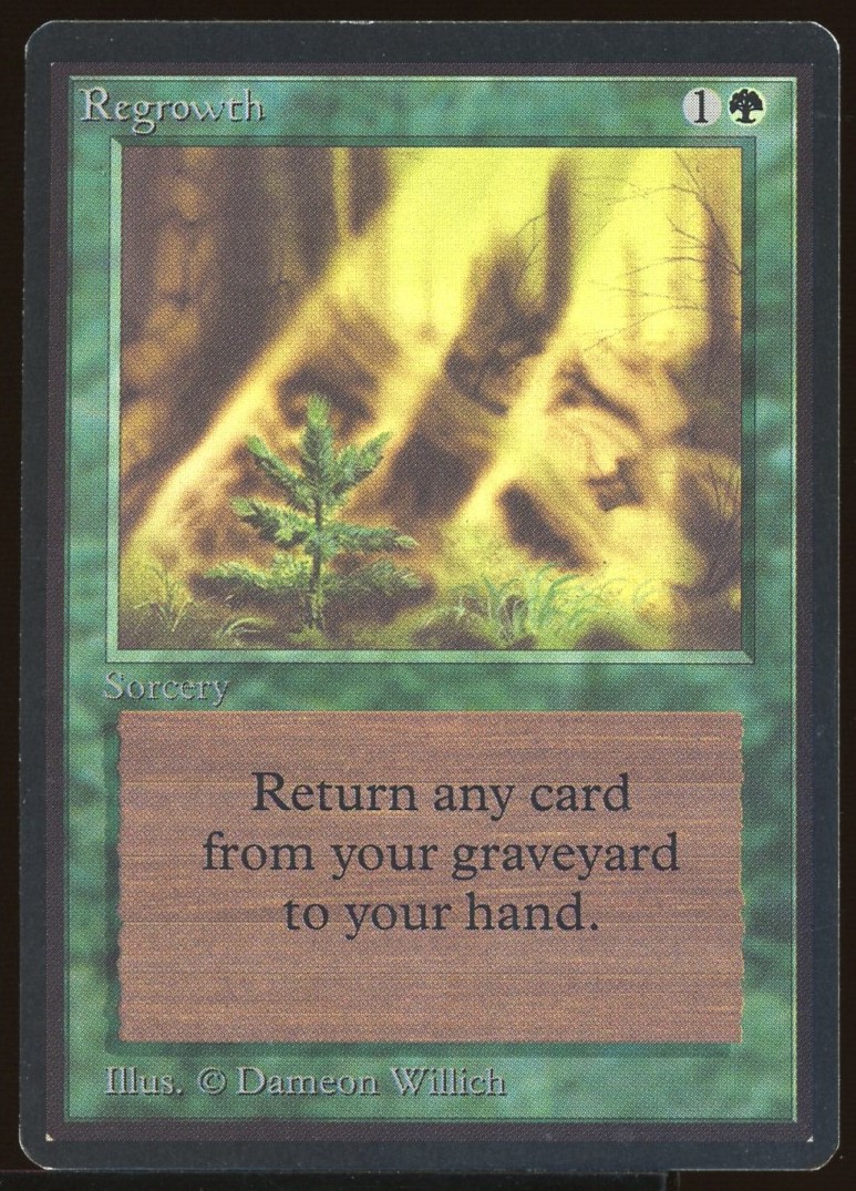 Regrowth - NM _12048