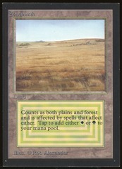 Savannah - MP _11632