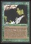 Ifh-Biff Efreet - NM _12492