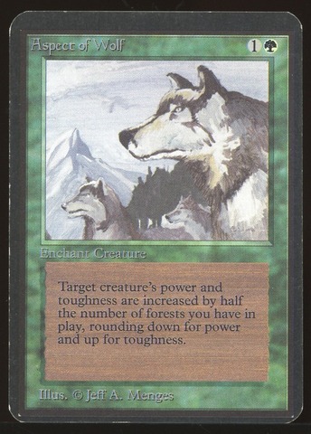 Aspect of Wolf - MP _10997
