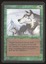 Aspect of Wolf - MP _10997