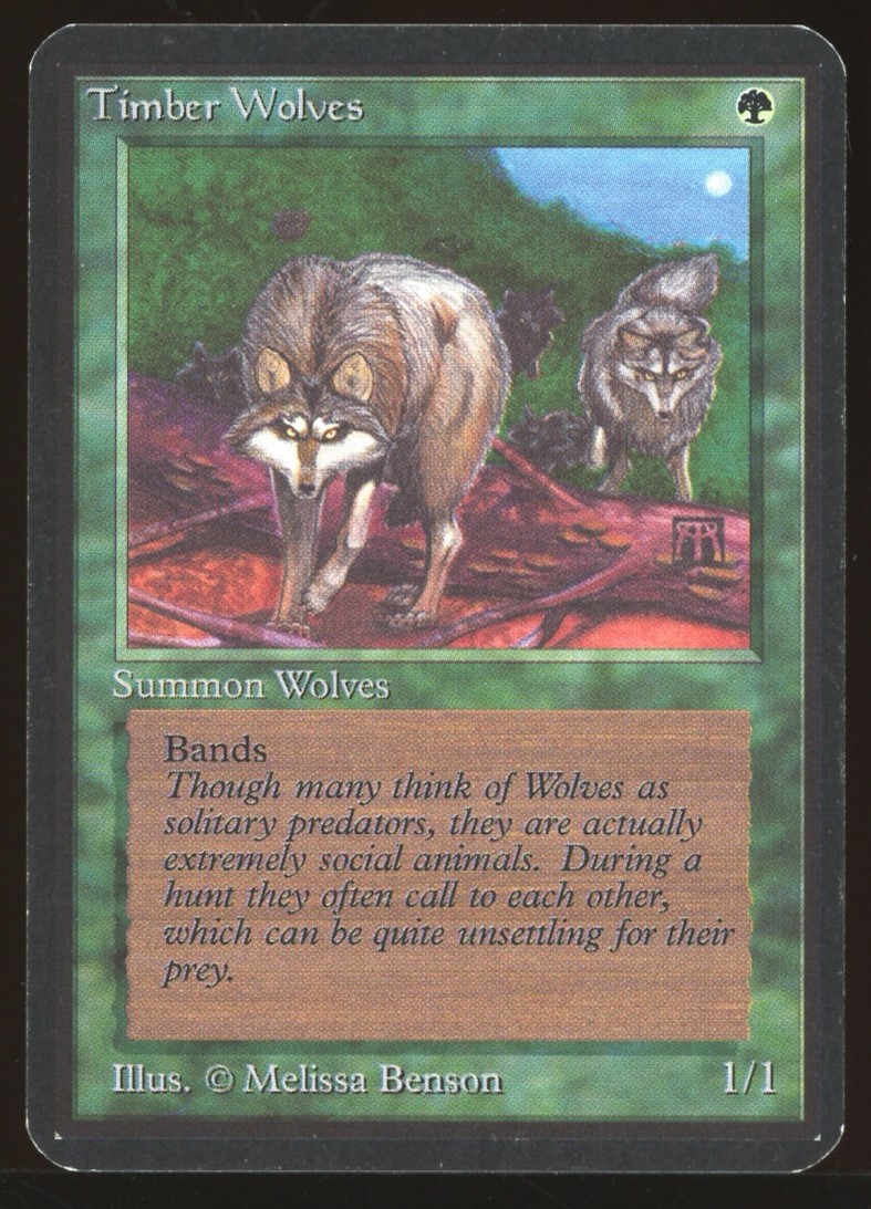 Timber Wolves - LP _11100