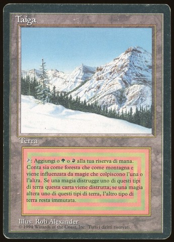 Taiga - HP Italian _11704