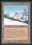 Taiga - HP Italian _11704