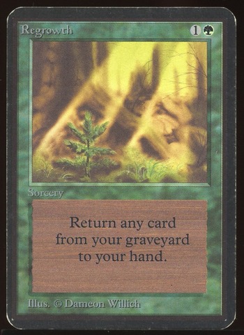 Regrowth - MP _10158