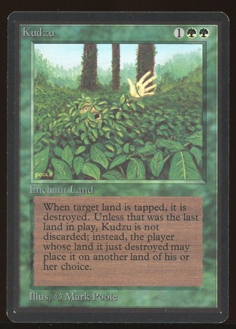 Kudzu - LP _10276