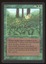 Kudzu - LP _10276