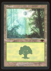 Forest - MP _12205