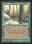 Singing Tree - LP _9915