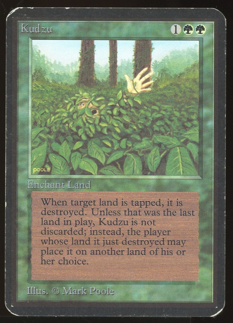 Kudzu - HP _11056