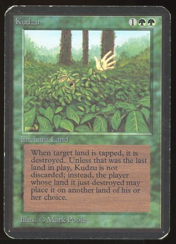 Kudzu - HP _11056