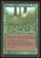 Kudzu - HP _11056