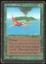 Birds or Paradise - DMG _11146