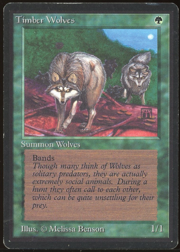 Timber Wolves - LP _C1478