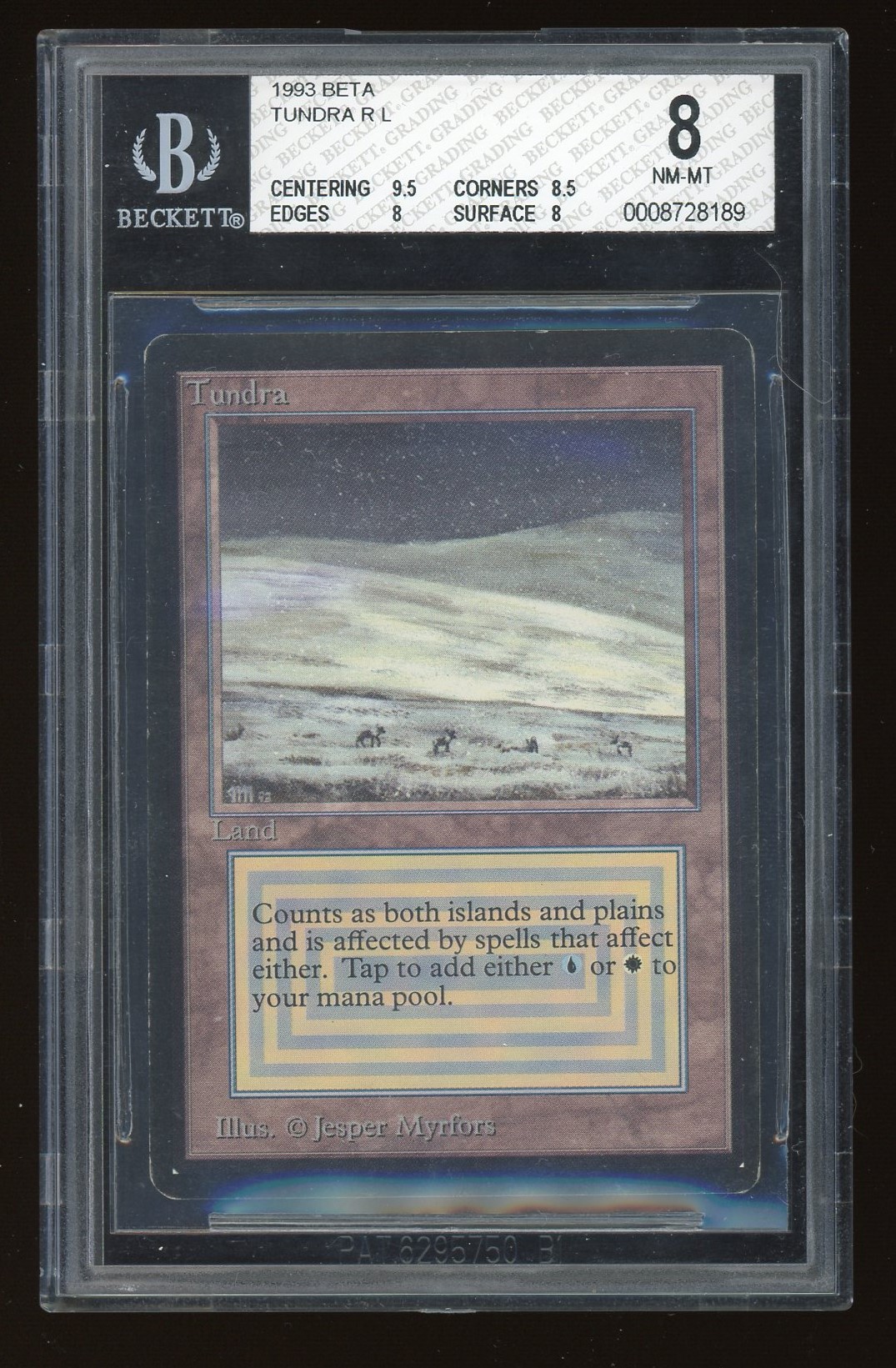 BGS 8 Tundra -189