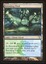 Breeding Pool - NM Foil _7003
